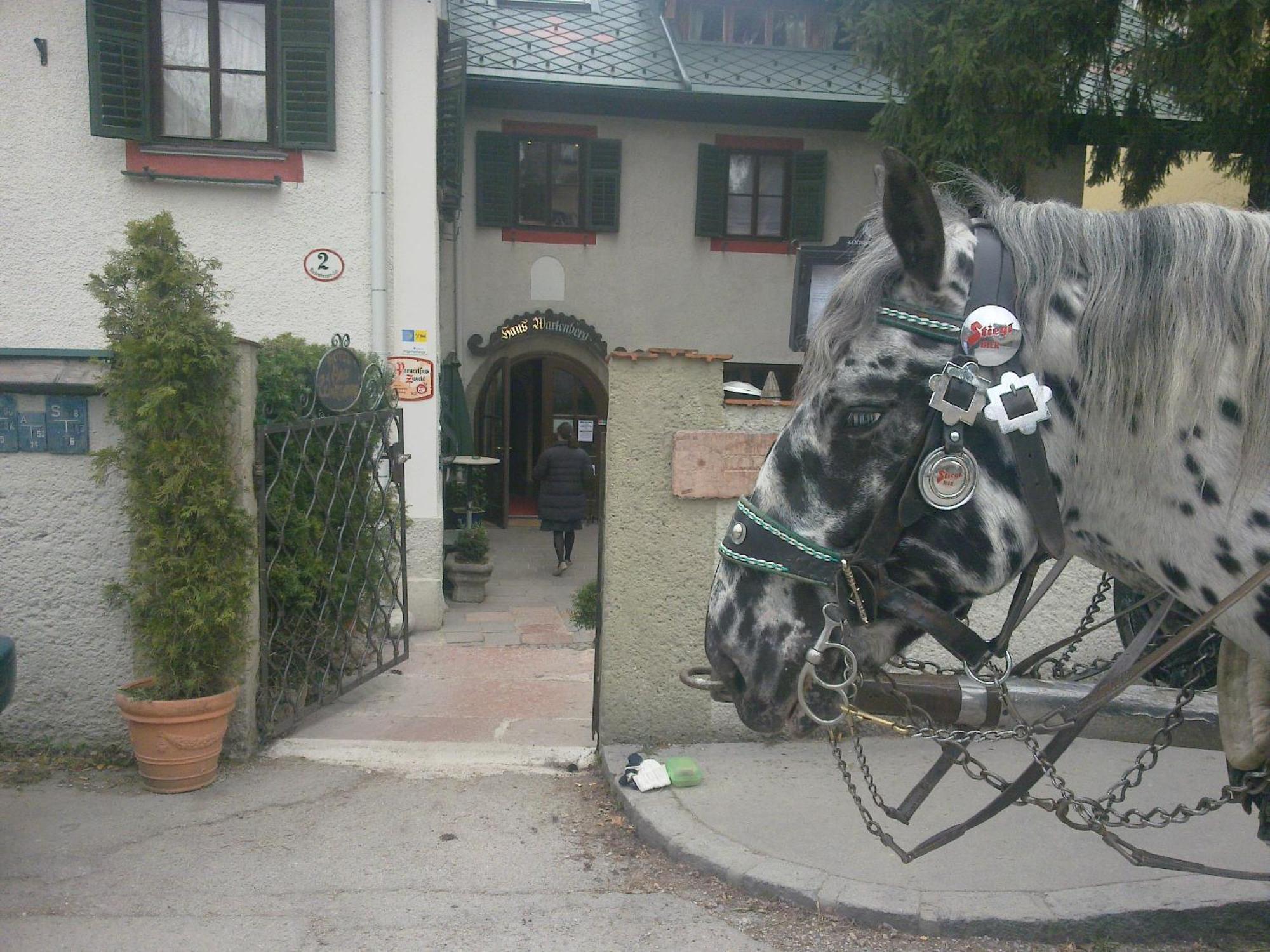 Hotel Haus Wartenberg Salisburgo Esterno foto